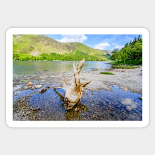 Buttermere Panorama With Driftwood Sticker